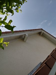 IMG_20220523_105453.jpg