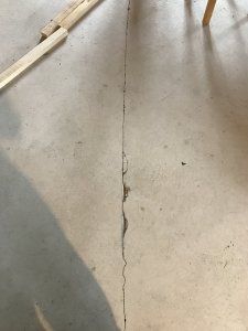 IMG_3479.jpg