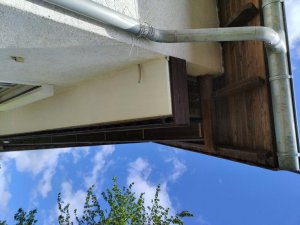 IMG_20220528_105758.jpg