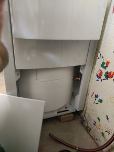IMG_20220517_071238.jpg