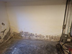 Innenwand.jpg