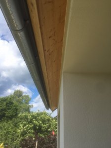 IMG_4160.JPG