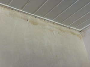 49990DB0-E294-4D19-B945-F03C39DF4EC1.jpeg