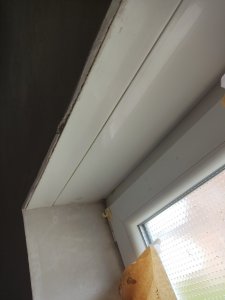 IMG_20220606_125741.jpg