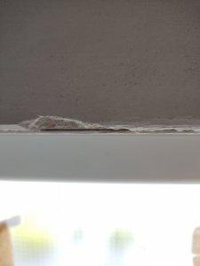 IMG_20220606_125830.jpg
