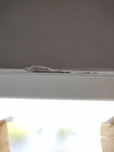 IMG_20220606_125840.jpg