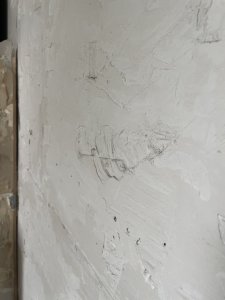 IMG_8569.jpg