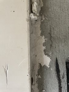 IMG_8570.jpg