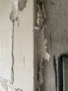 IMG_8574.jpg