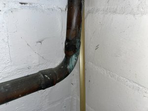 AA3C46D2-7528-4DE7-8A57-44152D0D3C97.jpeg