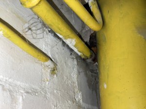 C3786A5C-63FC-4CB2-A003-5D0574DEEA2F.jpeg