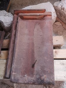 IMG_20220615_184154.jpg