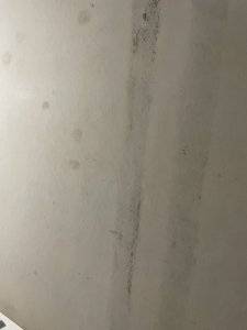 A79D8905-817C-445B-92D2-77CFFC951C24.jpeg
