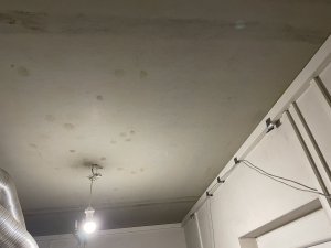 F142A1C1-CE63-485E-8026-335C2AD902FE.jpeg