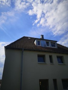 IMG_20220616_094933.jpg
