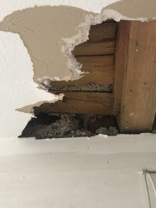 Decke OG,DG von unten Richtung Außenwand (2).JPG