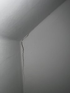 FE92FA67-397E-4AF0-81AE-0E0542136AAF.jpeg