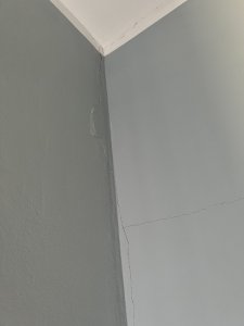 88E261D1-8309-4767-8CB8-F7D5348D54DA.jpeg