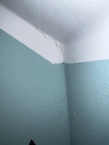 59BAB612-74BE-4DB7-AA5D-52BD62105196.jpeg
