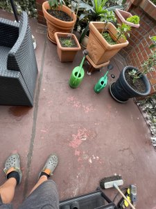 IMG_1792.JPEG