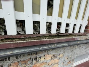 IMG_1793.JPEG