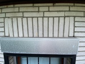 IMG_1140.jpg