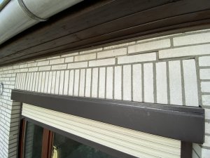 IMG_1141.jpg