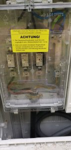 IMG_20220617_163558.jpg