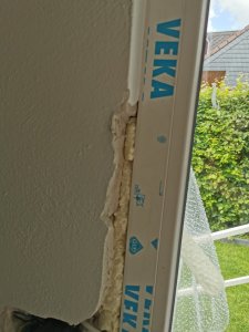 IMG_20220528_104156.jpg