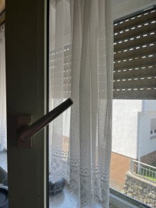 IMG_2462.jpg