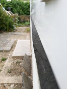 IMG_20220624_152023.jpg