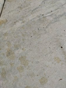 IMG_20220629_113757 (1).jpg