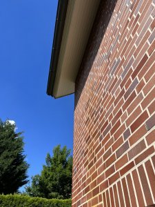 IMG_3957.jpg