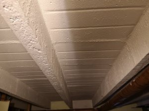 IMG_20190118_152026.jpg