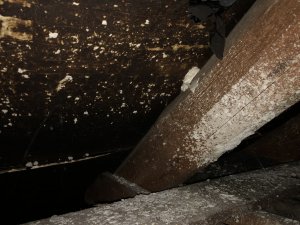 08564BD6-4D51-487D-BD5F-22C5E579FF08.jpeg