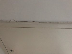 WhatsApp Image 2022-07-08 at 09.55.23 (1).jpeg