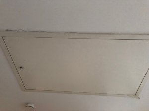 WhatsApp Image 2022-07-08 at 09.55.23.jpeg