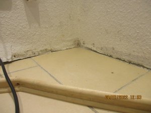 IMG_7543.JPG