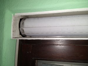 IMG_20220104_122009076.jpg