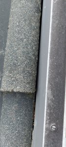 20220710_082040.jpg