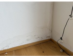 0B465098-4916-4977-8711-5614AAE07E63.jpeg
