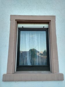 IMG_20220710_201756531_HDR.jpg