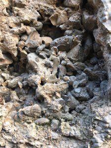 Cellar-wall-construction.jpg