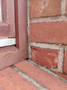 IMG_20220225_145007.jpg