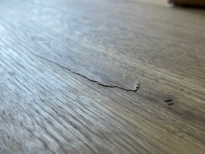 IMG_1238.jpg
