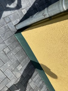 IMG_2084.jpeg