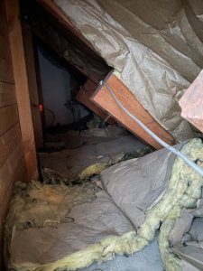 IMG_3332.JPG