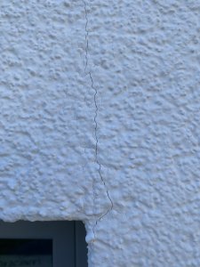 IMG_5856.jpg