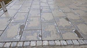 20220721_081314.jpg