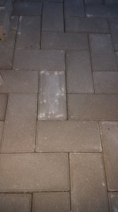 20220722_211238.jpg